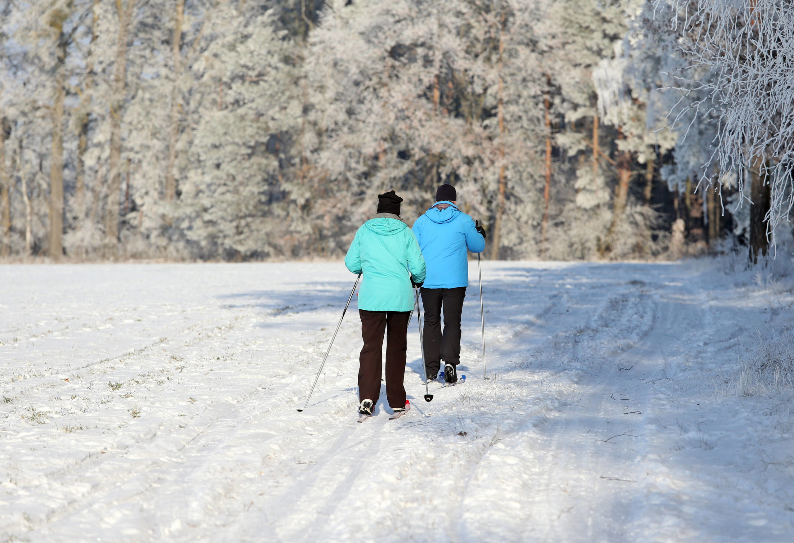 Wintersport Wenn genügend Schnee fällt, eignen sich bestimmte Wanderwege in der Märkischen Schweiz gut zum Skilanglauf.