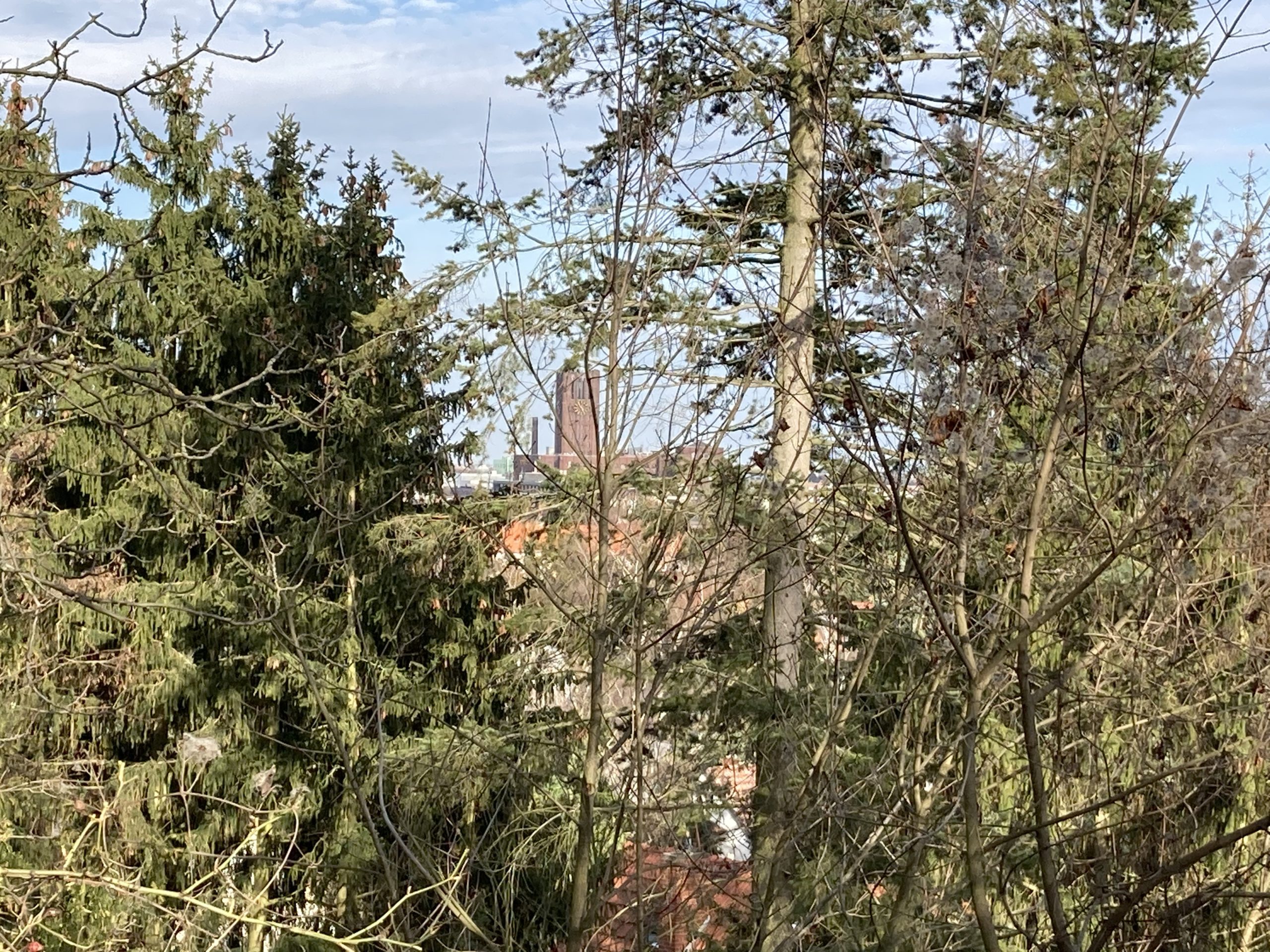 Blick von der Marienhöhe auf das Ullsteinhaus. Foto: Jacek Slaski