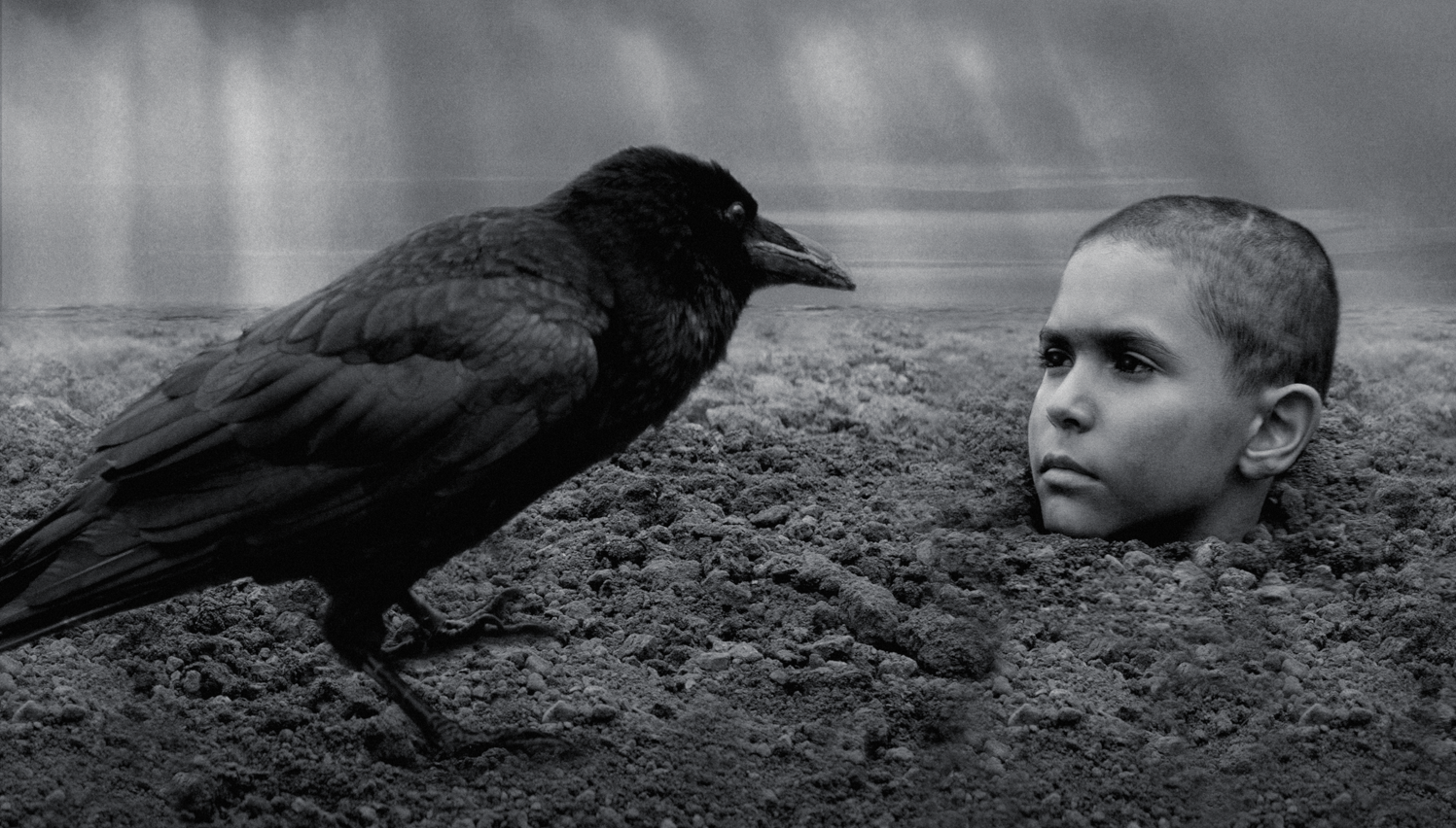 "The Painted Bird" Vaclav Marhoul läuft diese Woche neu im Kino. Foto: IFC
