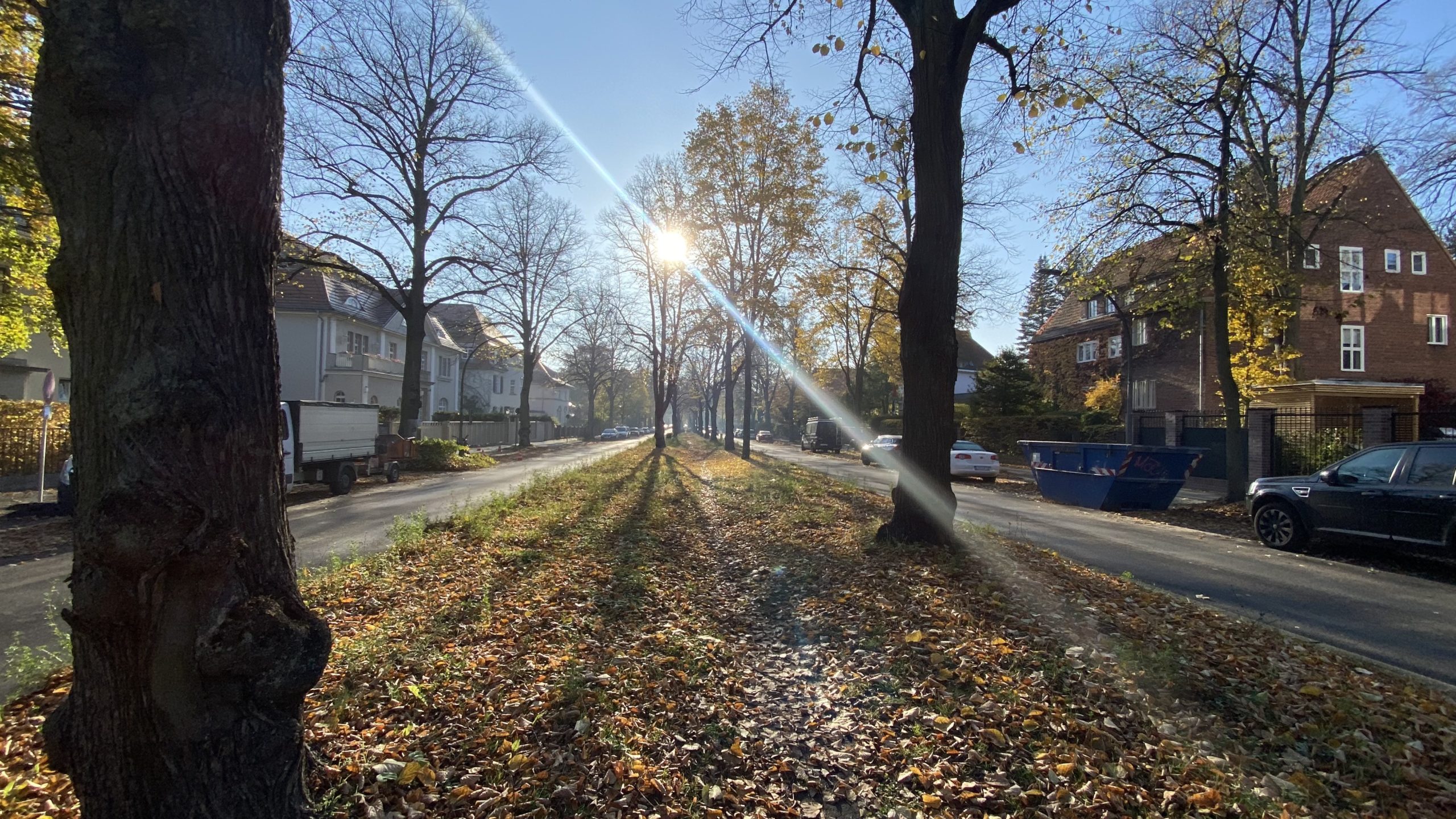 schöne Straßen in Berlin Die breite Lindenallee in Dahlem ist für eine große Straße verhältnismäßig ruhig und von kleinen, gemütlichen Parks umgeben. 