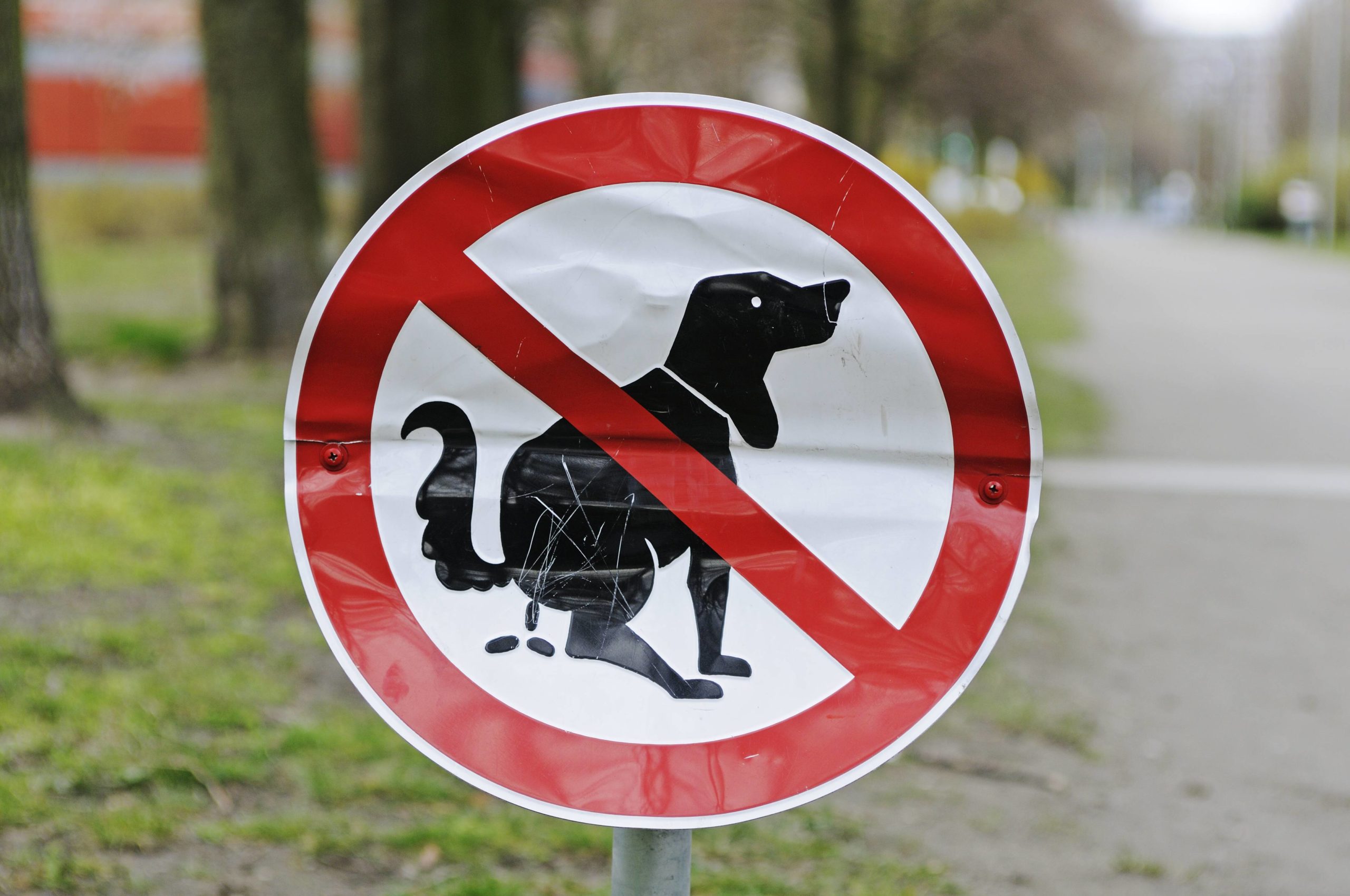 Berlin und die soziale Kontrolle: Hier kein Hundekot! Verbotsschild in einem Park. Foto: Imago/Imagebroker