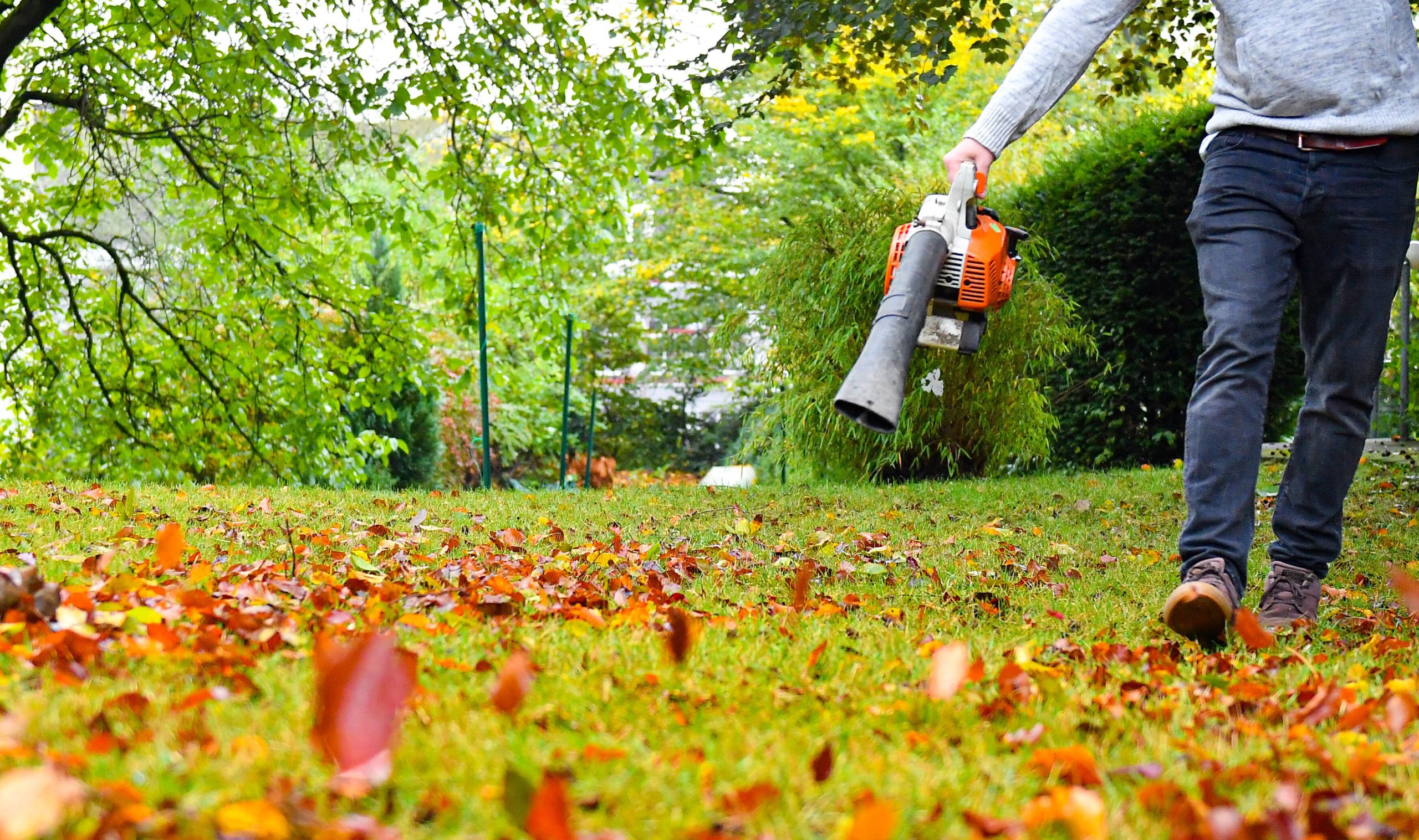 Ein Mann entfernt mit einem Laubbläser die von den Bäumen heruntergefallenen Blätter. Foto: Imago/Neundorf/Kirchner-Media