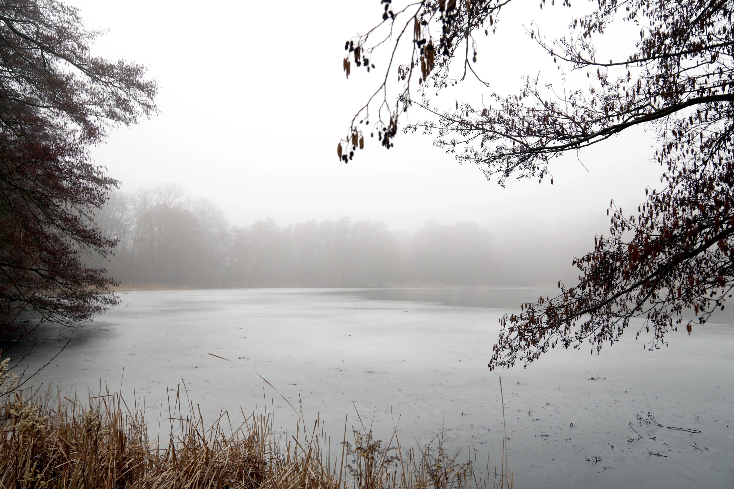 Nebel über dem Grunewaldsee. Foto: Imago/Sabine Gudath