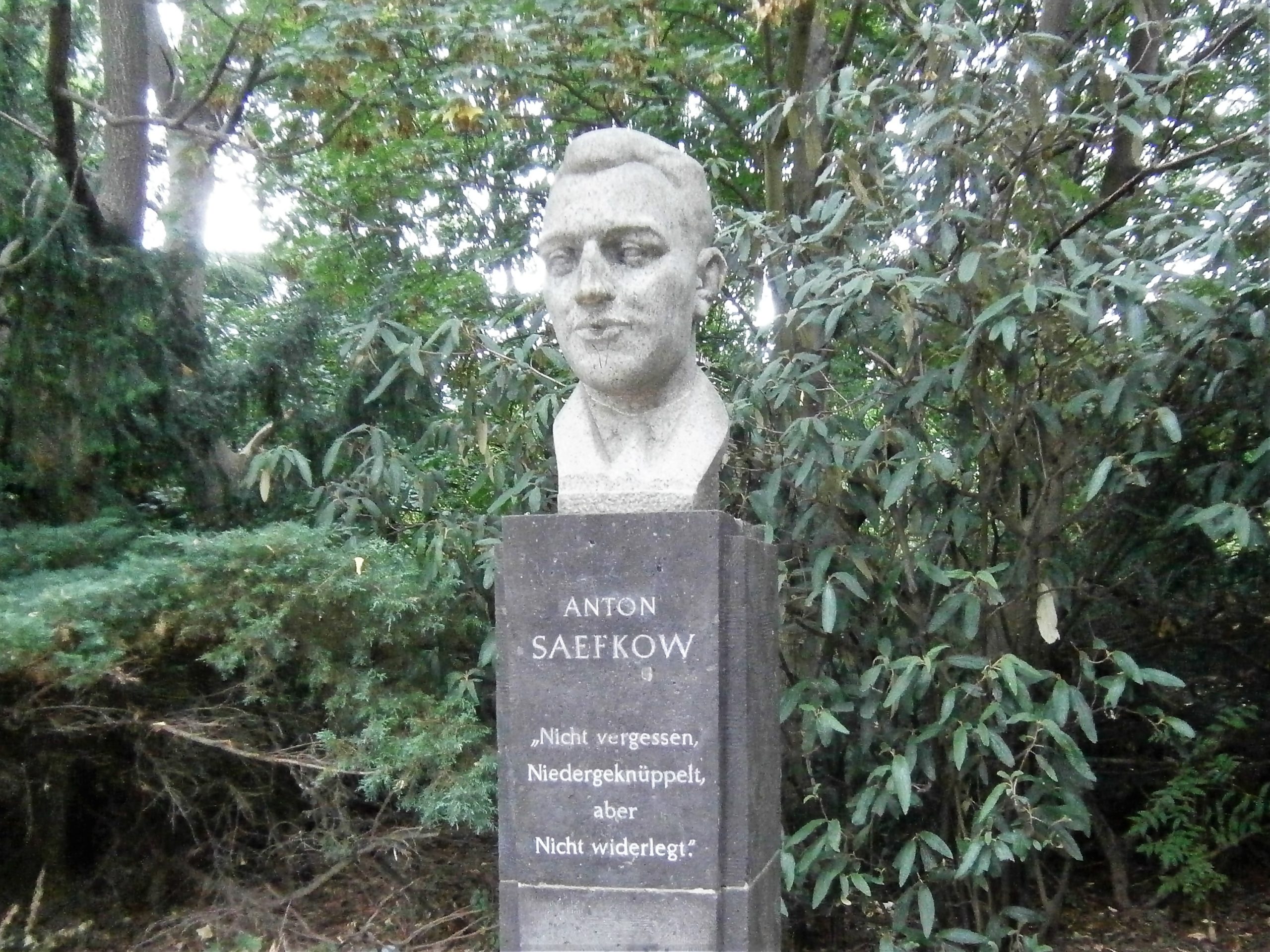 Der Volkspark Anton Saefkow ist benannt nach einem Widerstandskämpfer. Eine Büste erinnert an ihn. Foto: Von Boonekamp/Wikimedia Commons/CC BY-SA 4.0
