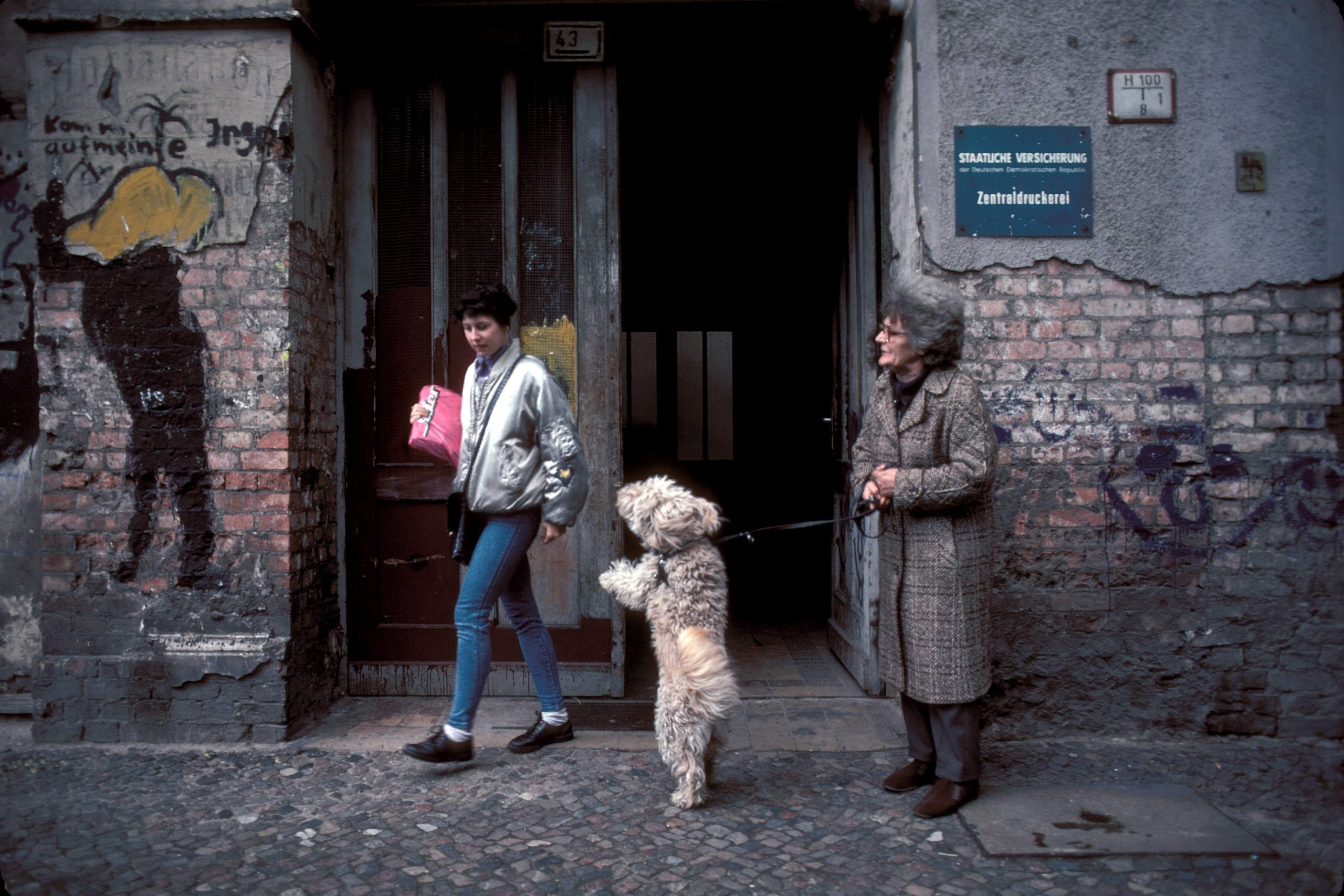 Hunde in Ost-Berlin: Seniorin mit bettelndem Hund vor dem Hauseingang der Zentraldruckerei, 1990. Foto: Imago/Dieter Matthes