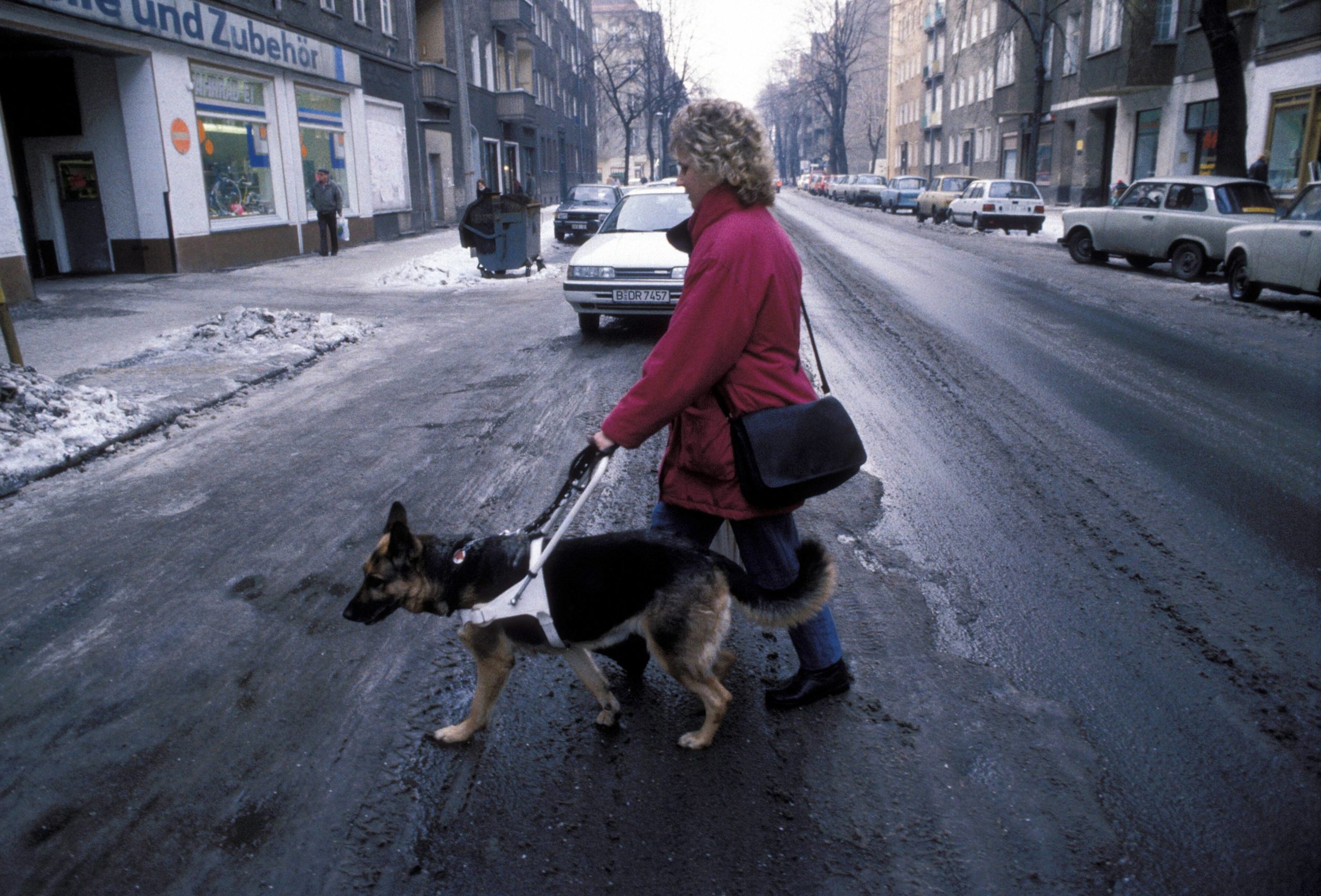 Blindenhund im Einsatz, 1991. Foto: Imago/Stana