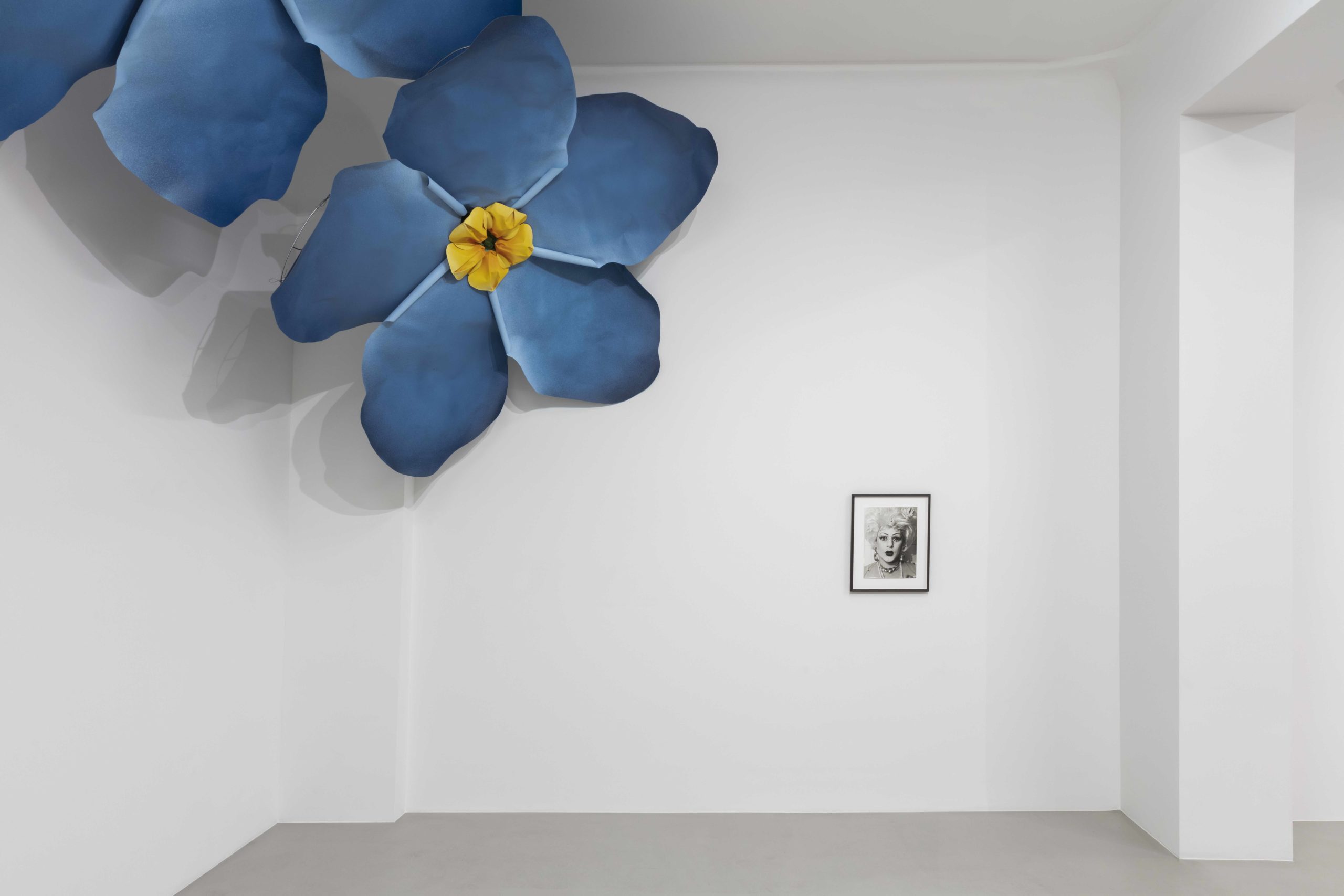 Das Künstler-Duo Petrit Halilaj & Alvaro Urbano sind bekannt für ihre großen Papier-Blüten. Daneben hängt ein Porträt, aufgenommen von Annette Frick. Foto: Andrea Rossetti/ Courtesy of the artists and ChertLüdde