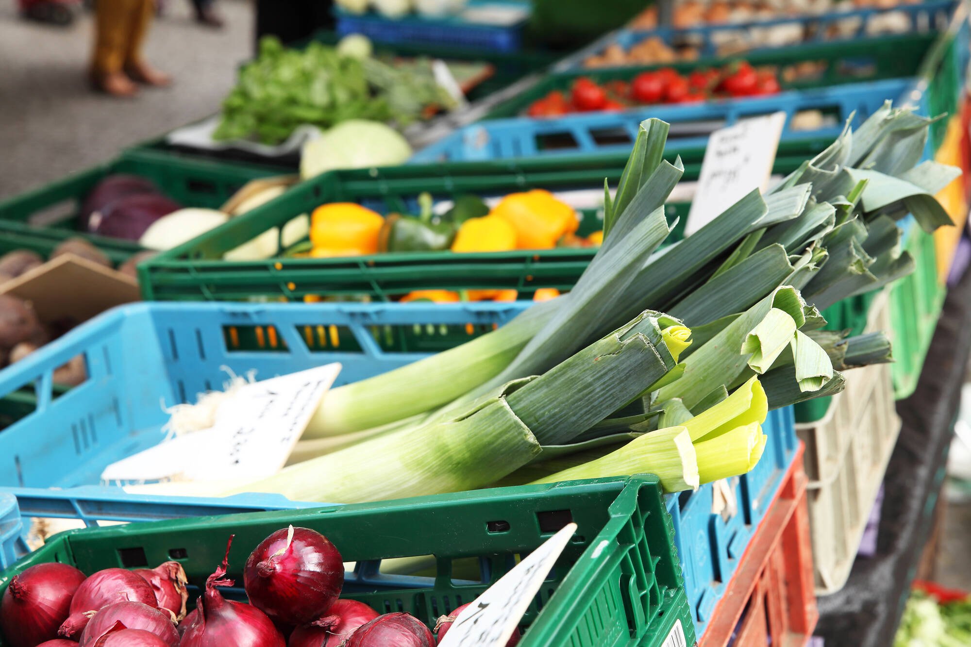 Wochenmärkte in Berlin Der Wochenmarkt am Karl-August-Platz bietet ein solides Bio-Angebot, aber auch internationale und mediterrane Spezialitäten.