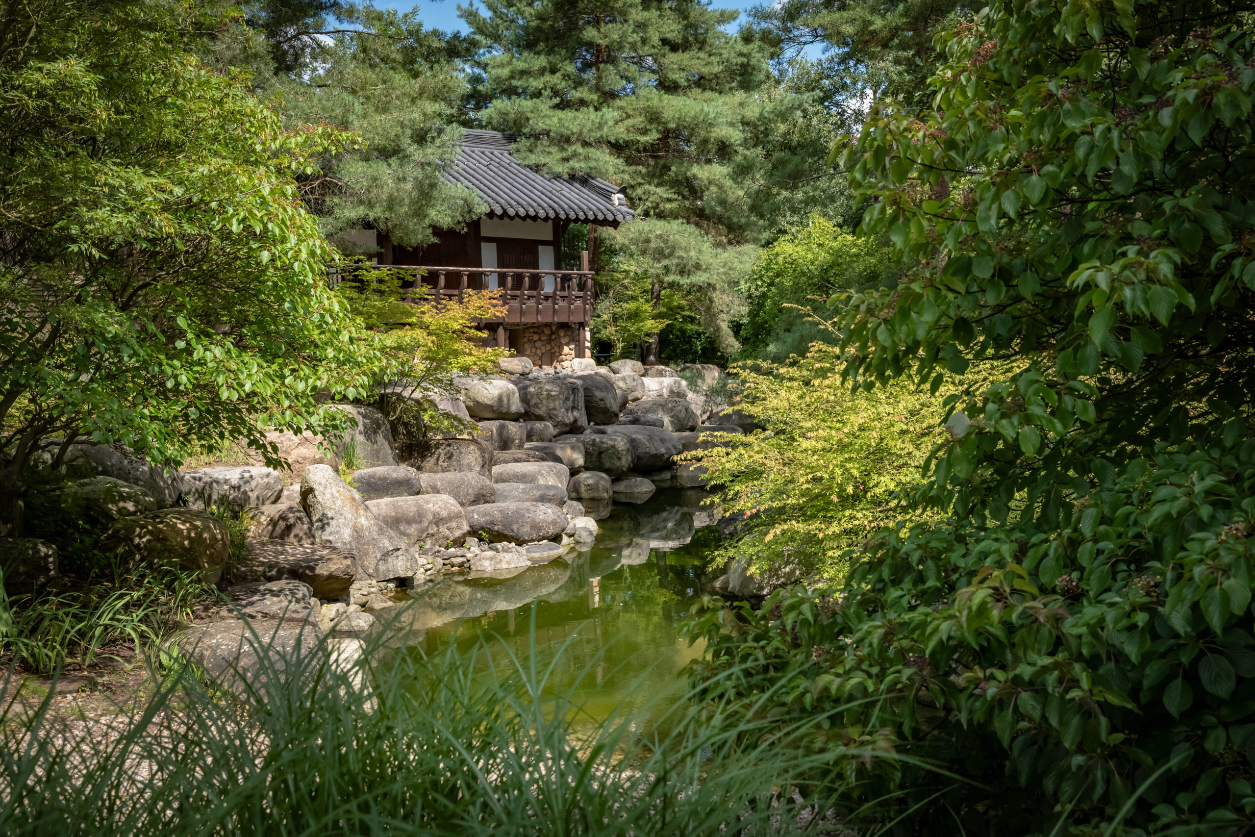 Die schönsten Gärten von Berlin: Der koreanische Garten in den Gärten der Welt entführt einen in eine fernöstliche Idylle.