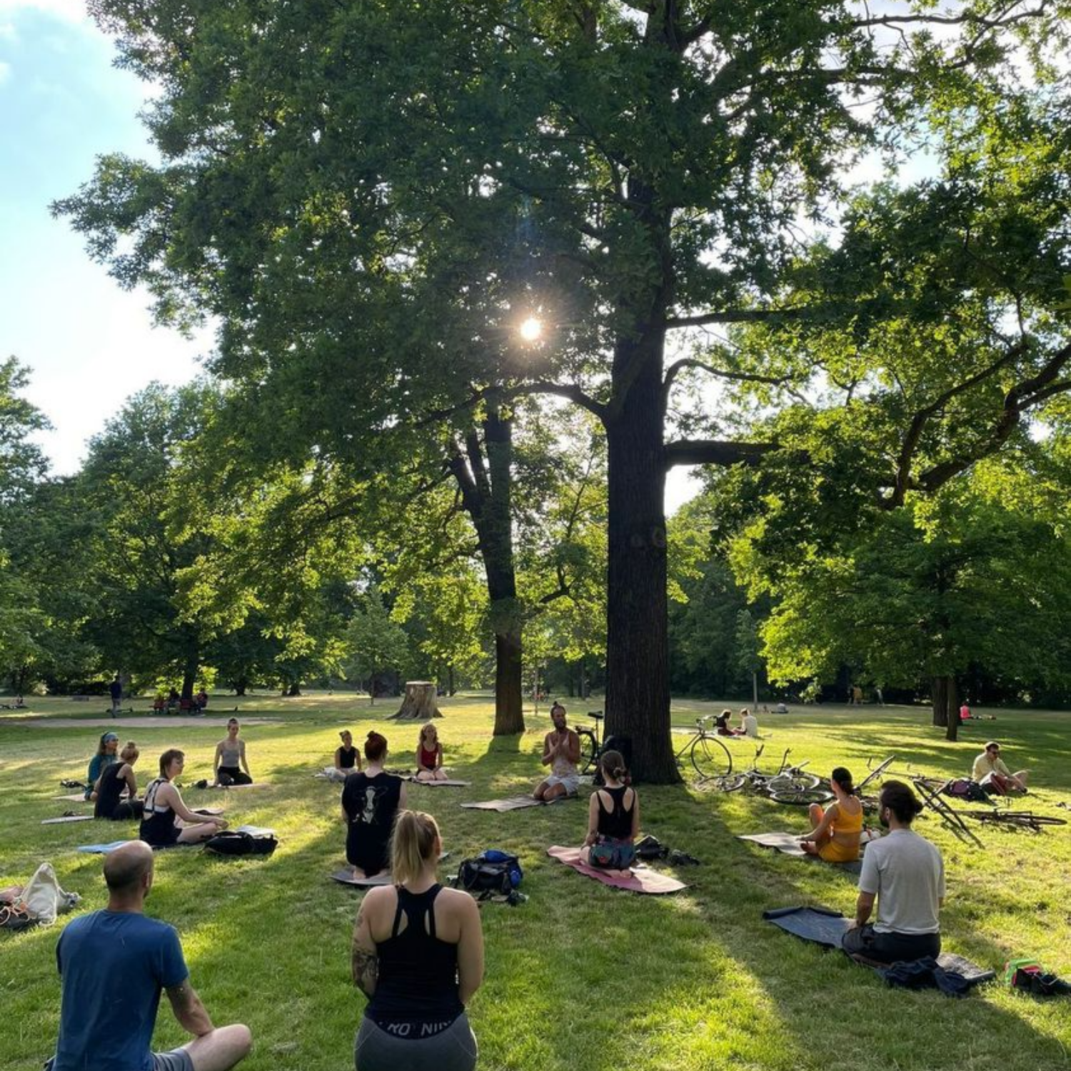 Outdoor-Yoga in Berlin Outdoor-Klasse von Green Yoga in der Hasenheide: Fünf Prozent der Einnamen gehen direkt an ein indisches Baumpflanzprojekt.