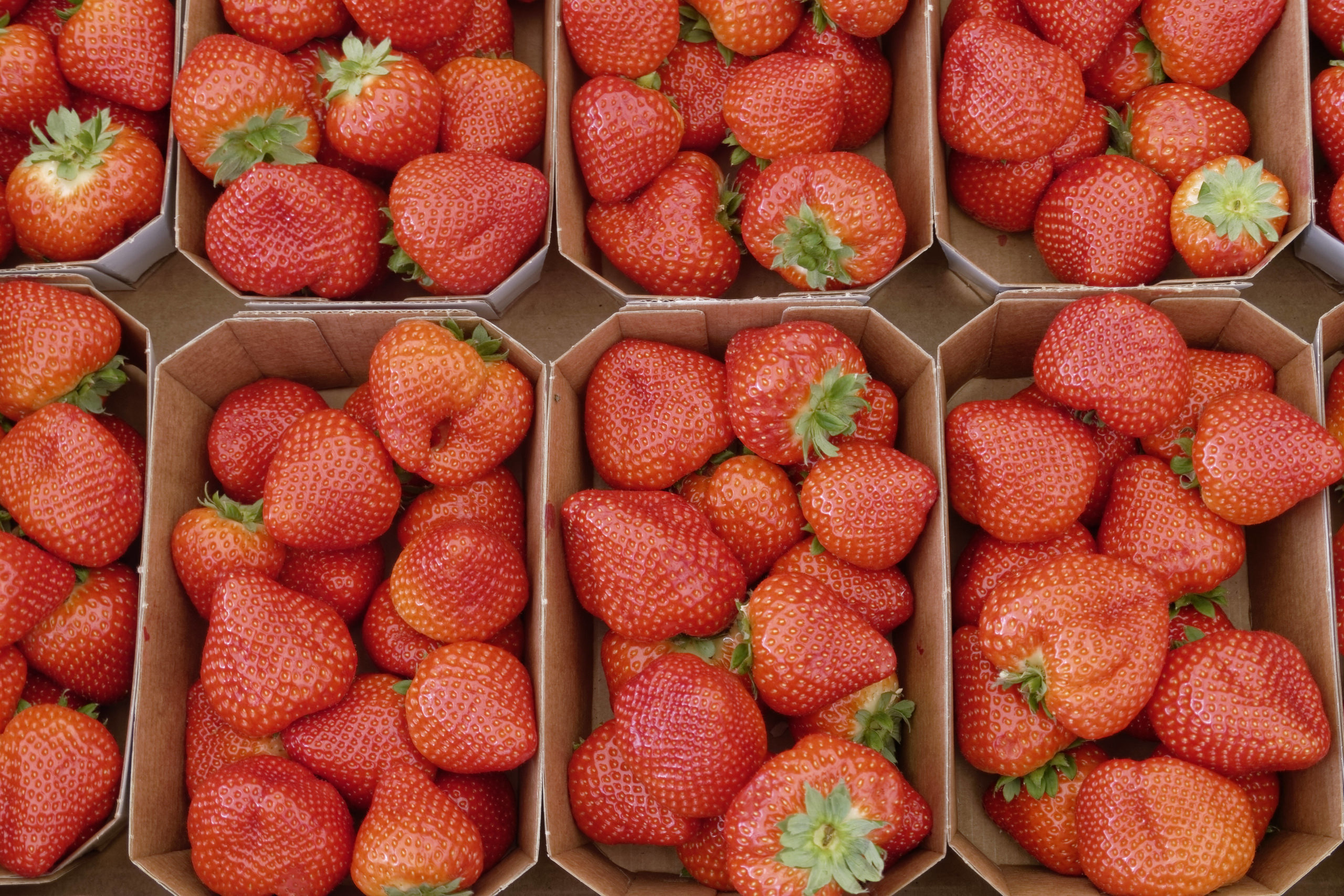 Erdbeeren Berlin Ein Kilo Erdbeeren von den Selbstpflückfeldern in Klaistow kostet knapp 6 Euro.