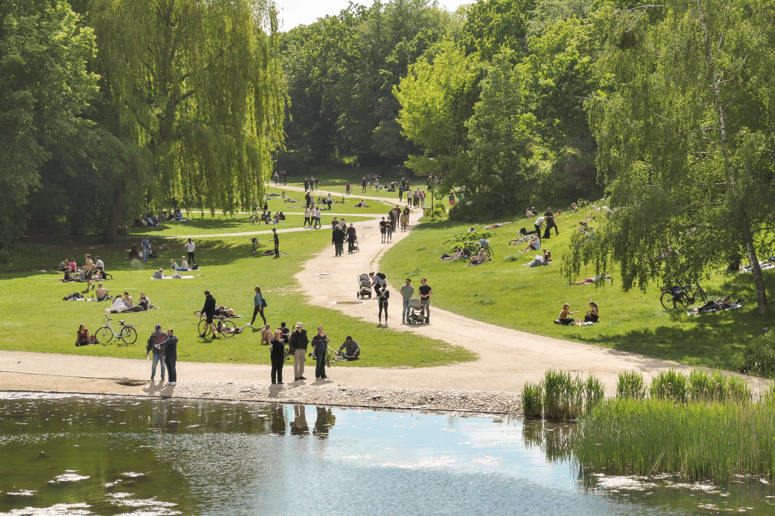 Parks in Berlin Romantische Trauerweiden, weite Wiesen und der imposante Hirschbrunnen machen den Reiz des Rudolph-Wilde-Parks aus.