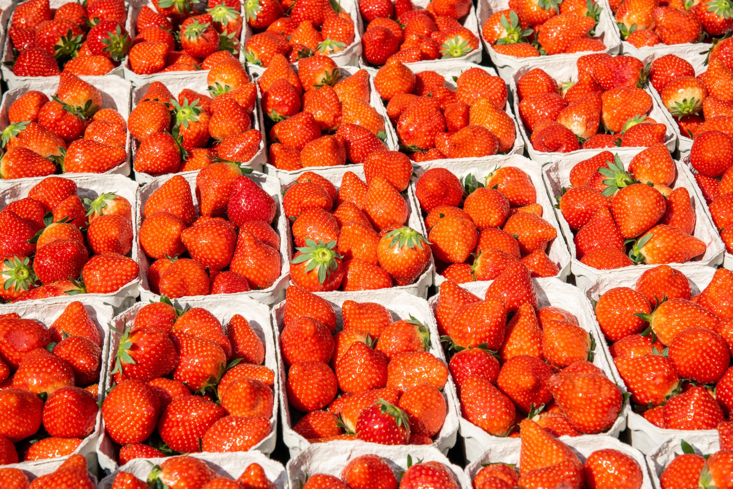 Erdbeeren Berlin Die Erdbeeren, die auf dem Ökomarkt auf der Domäne Dahlem verkauft werden, wurden ökologisch angebaut.