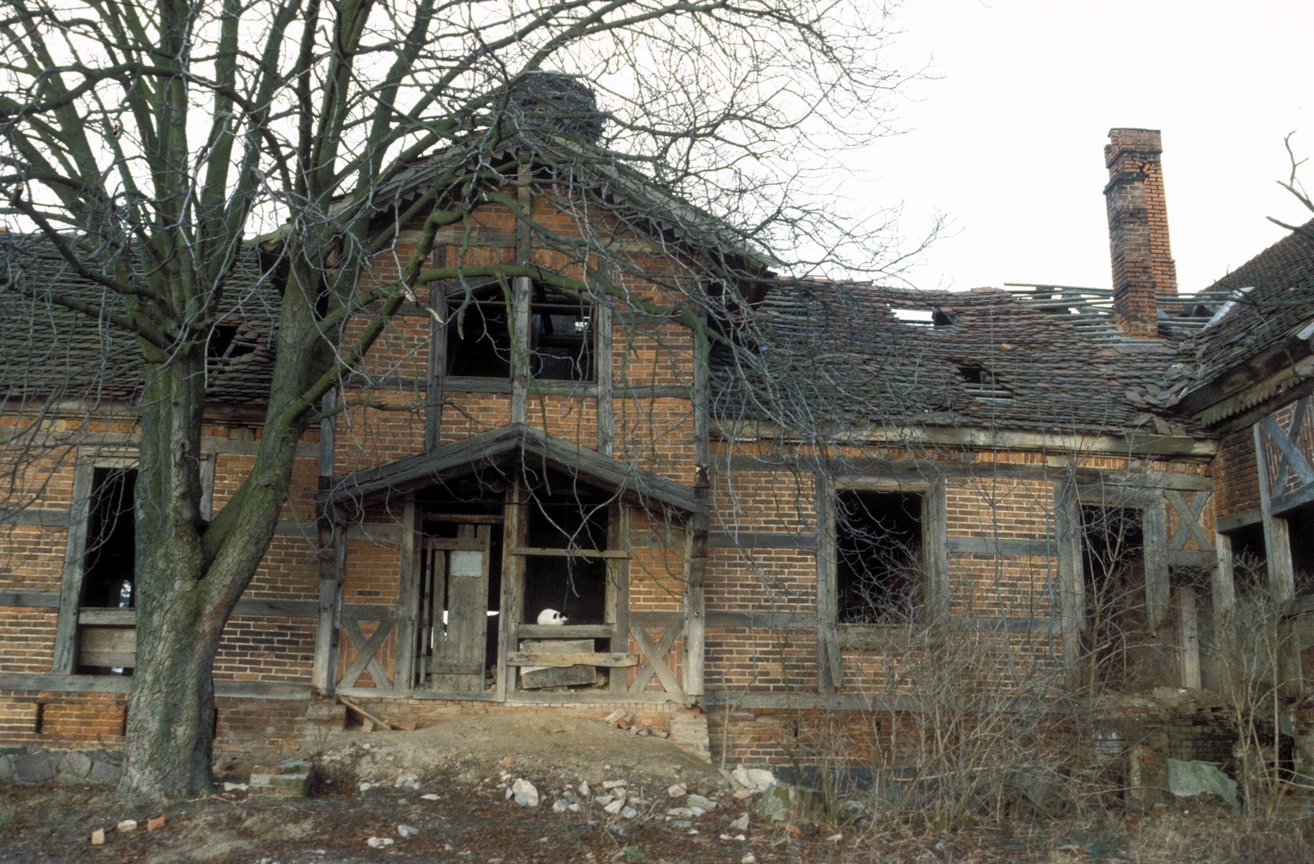 Brandenburg in den 1990er-Jahren: Verfallenes Herrenhaus - Buchenhain - in Mellenau, 1991. Foto: Imago/Werner Schulze