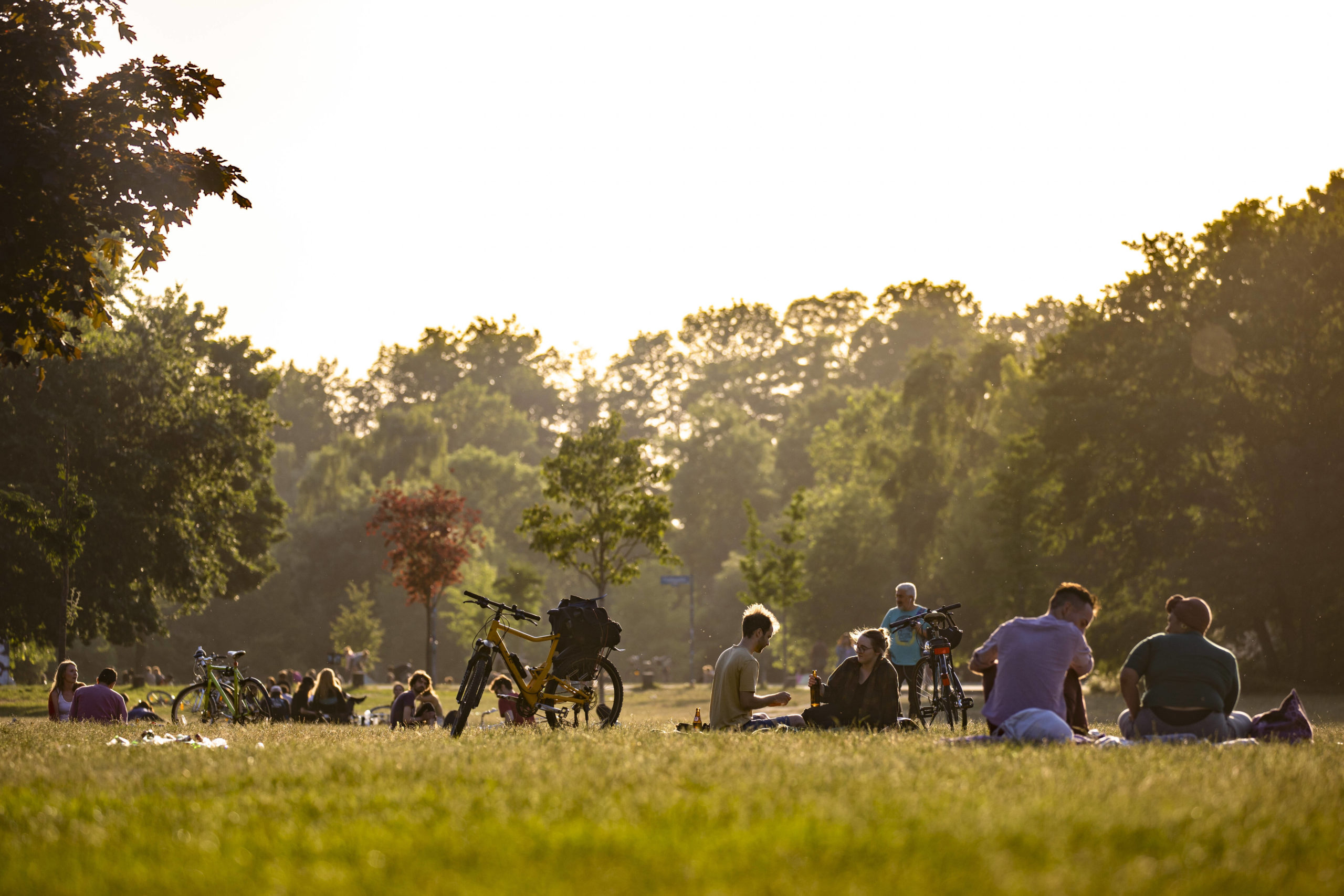 Parks in Berlin In der Hasenheide im Szenebezirk Neukölln entspannen die Menschen an schönen Tagen friedlich in der Sonne.