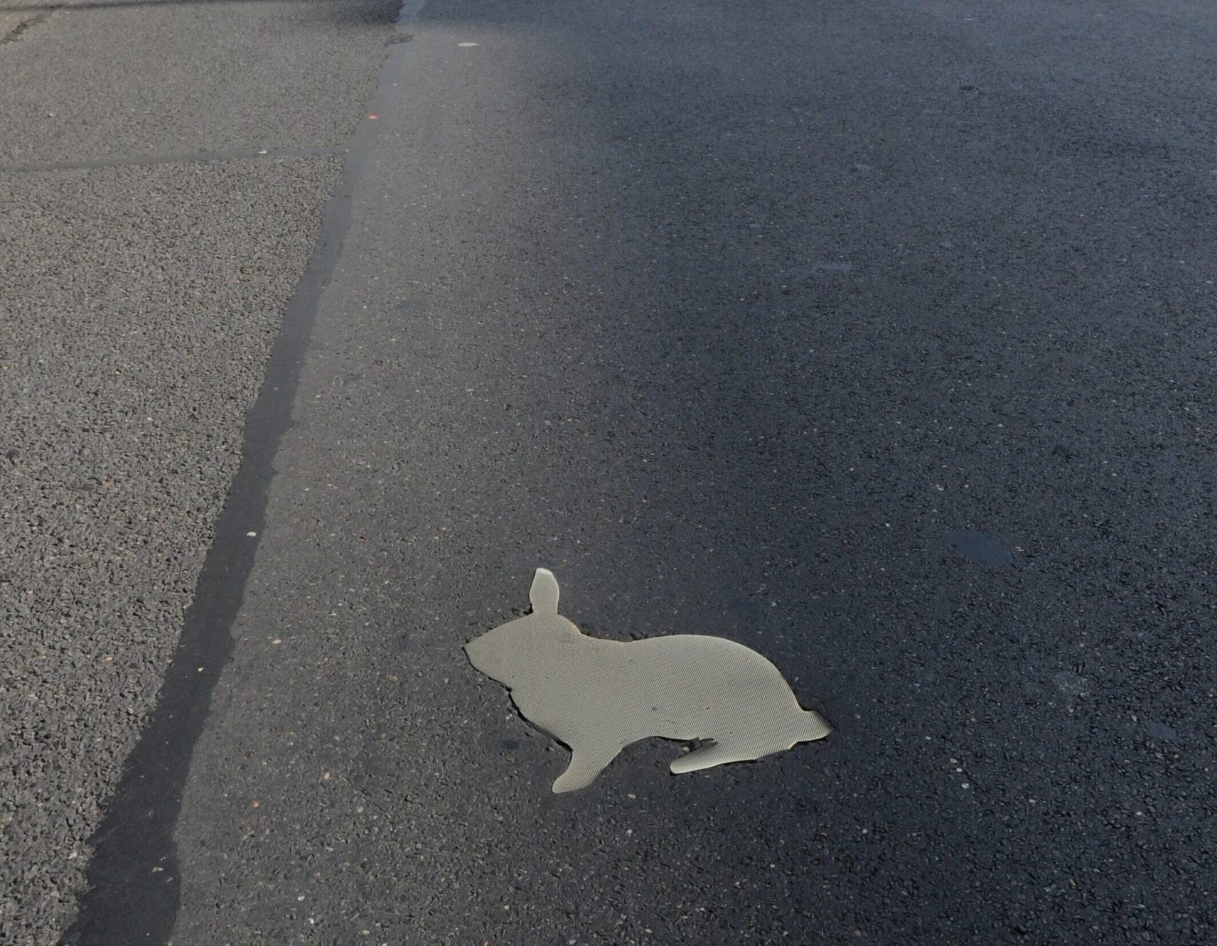 Obskure Orte in Berlin: Die Kaninchenfelder sollen an die Kaninchenpopulation auf dem Todesstreifen während der Zeit der Berliner Teilung erinnern. Foto: Imago/Joachim Schulz