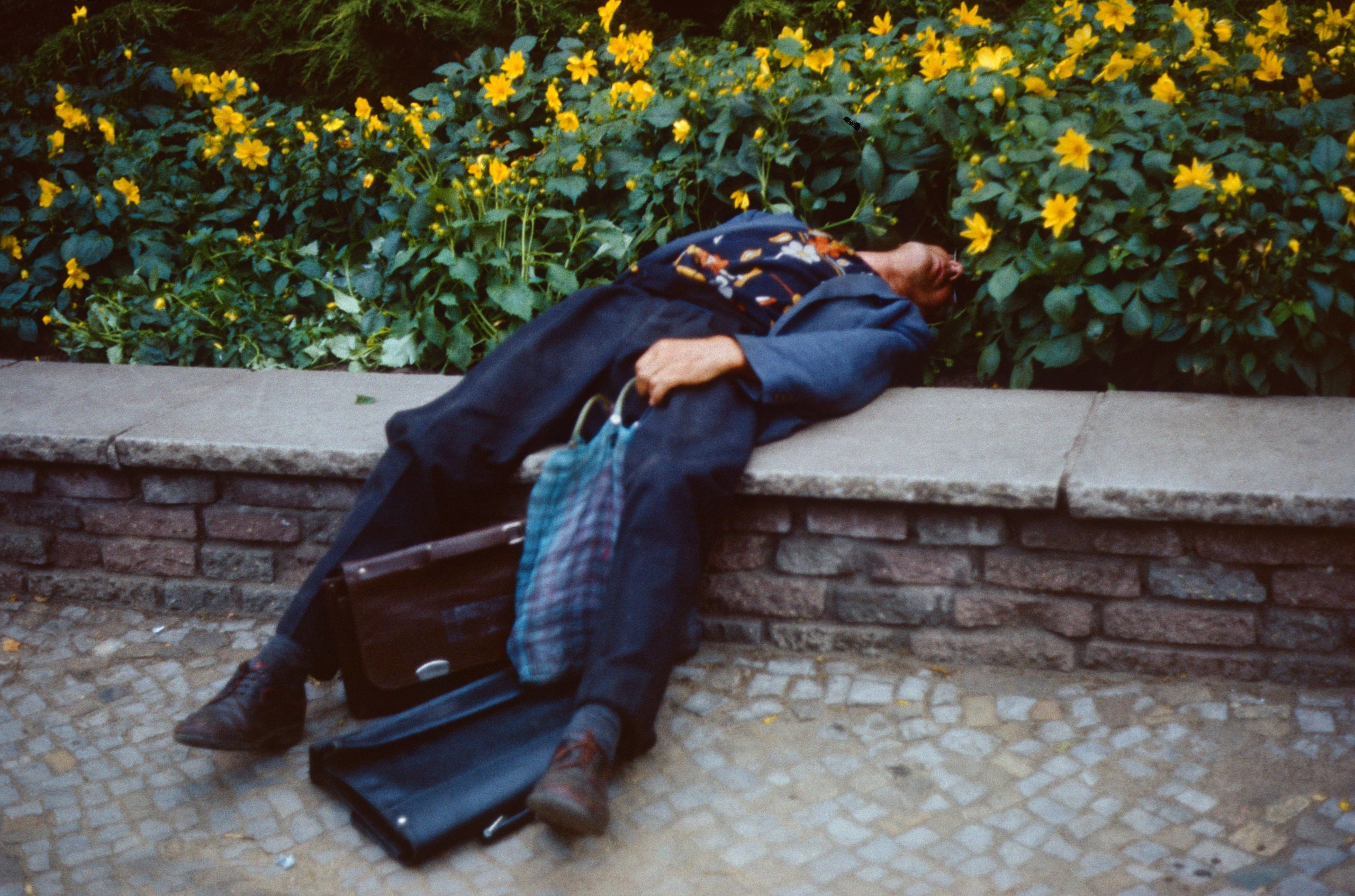 Mauer Berlin Fotos - Klassische Bildbeschreibung: Mann liegt betrunken an der Straße im Blumenbeet. Foto: Imago/Frank Sorge