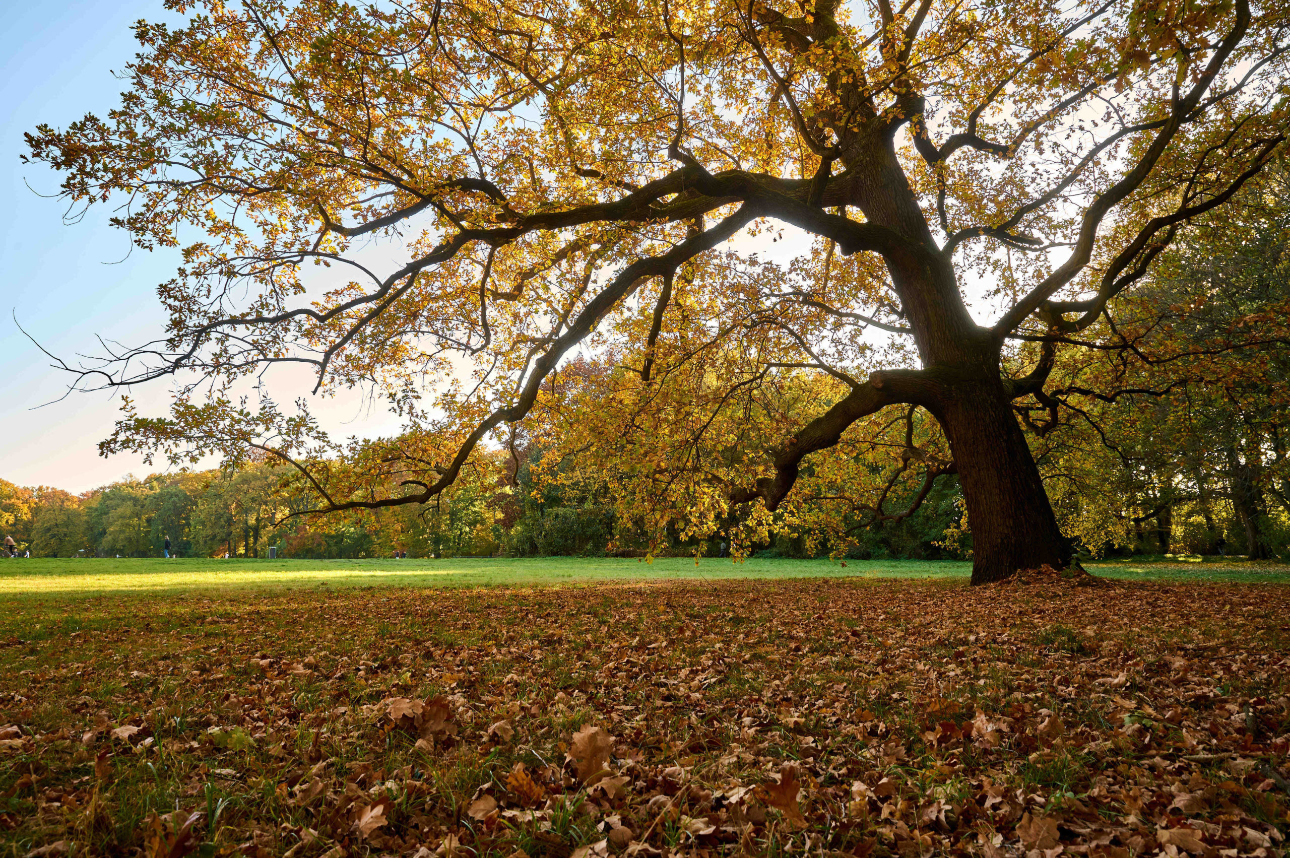 Herbstzeit im Treptower Park: Auf den Wiesen kann man Drachen steigen lassen. Foto: Imago/Snapshot/F. Boillot