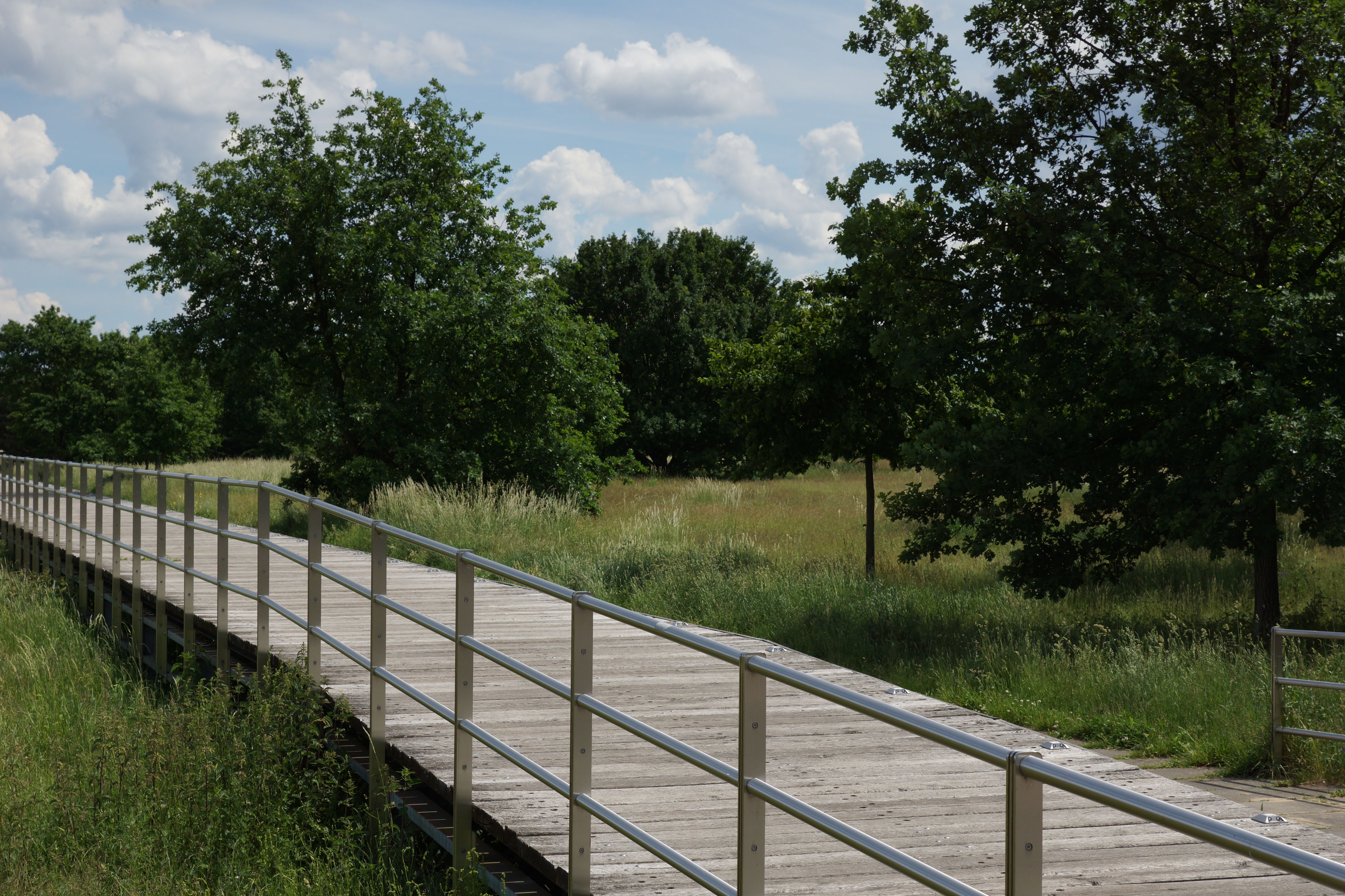 Der Landschaftspark Johannisthal/Adlershof ist teils Naturschutzgebiet, aber auch ein guter Ort, um Drachen steigen zu lassen. Foto: Wikimedia Commons/Theodor Otto Martha, eigenes Werk, CC BY-SA 3.0