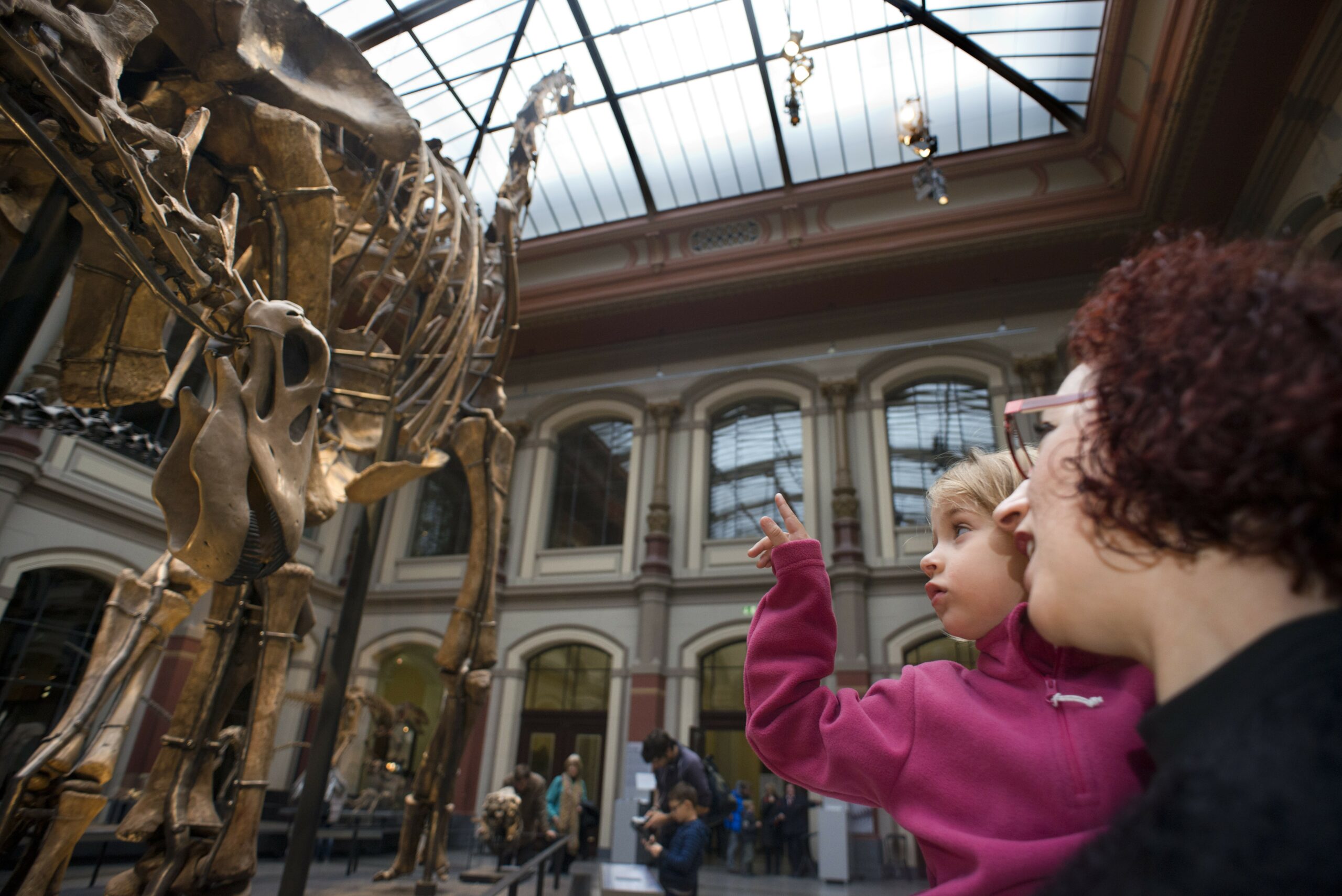 Museum für Naturkunde Berlin