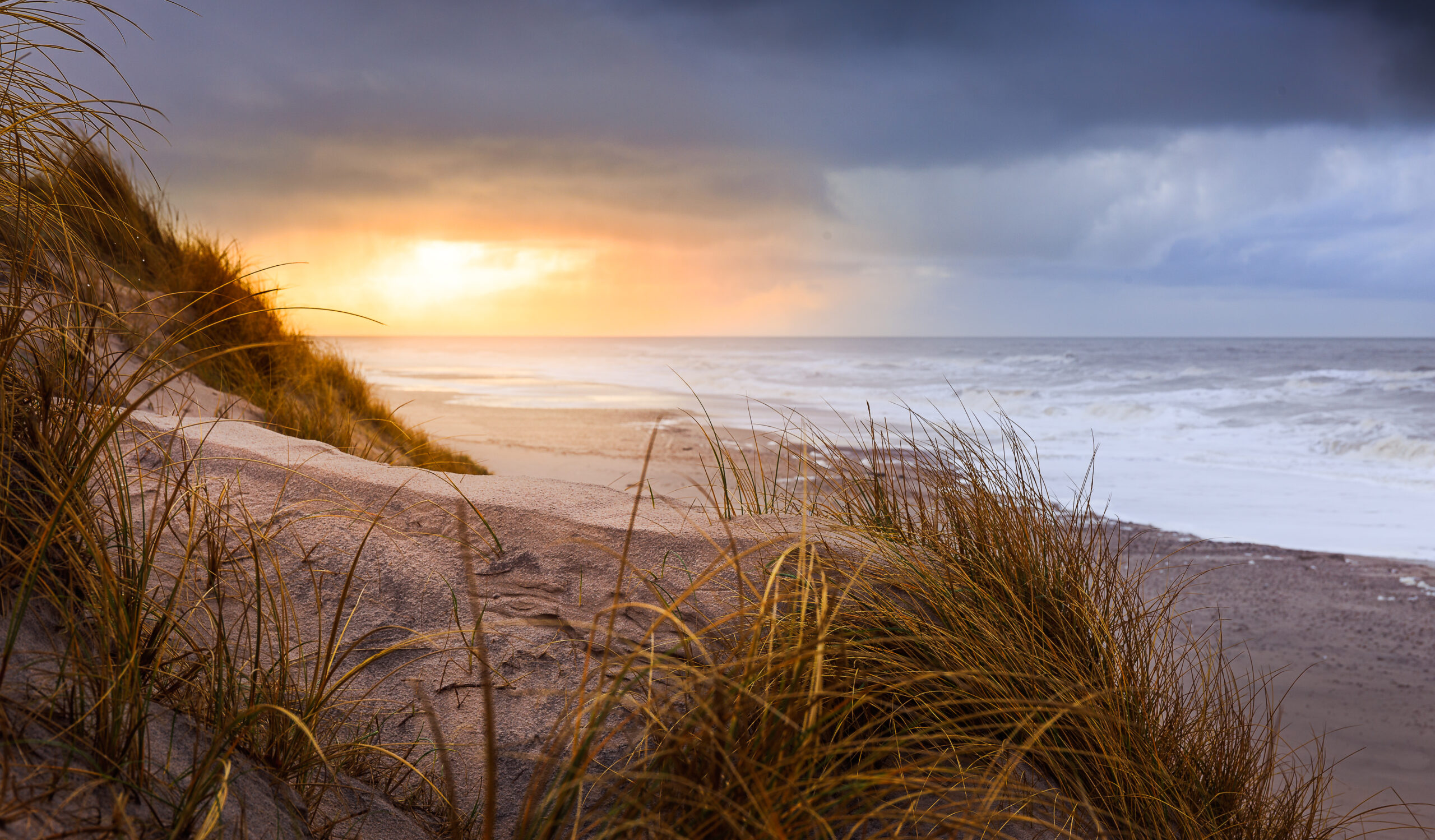 Der Strand in HVide Sande. Foto: Shutterstock/rphstock