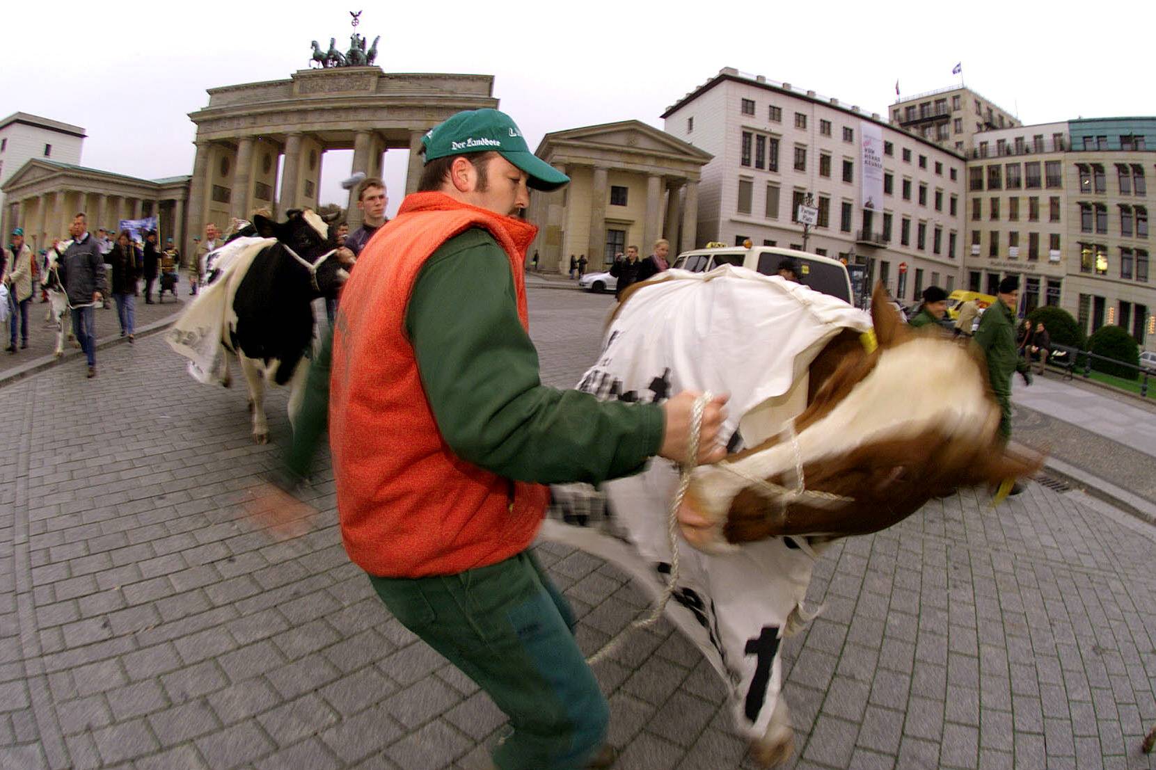 MIt Kuh statt Traktor,, Bauernproteste in Berlin im Herbst 2004. Foto: Imago/PEMAX