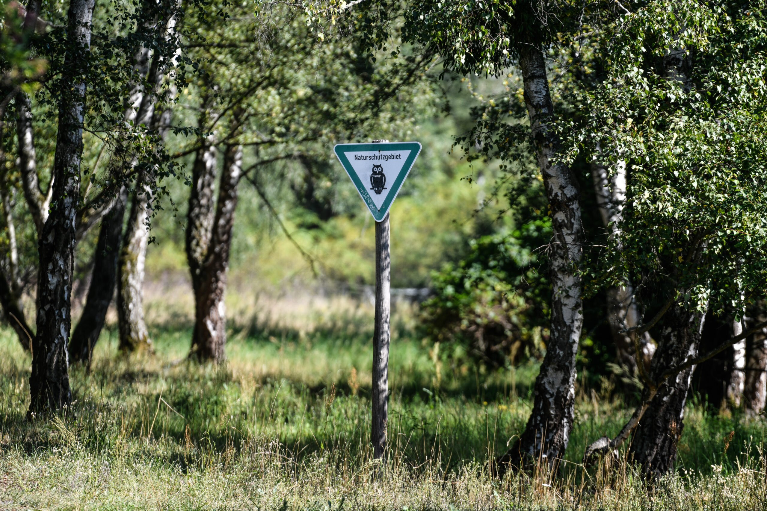 Obwohl das Naturschutzgebiet Schöneberger Südgelände mitten in der Großstadt liegt, haben seltene Tiere und Pflanzen hier weitestgehend ihre Ruhe.