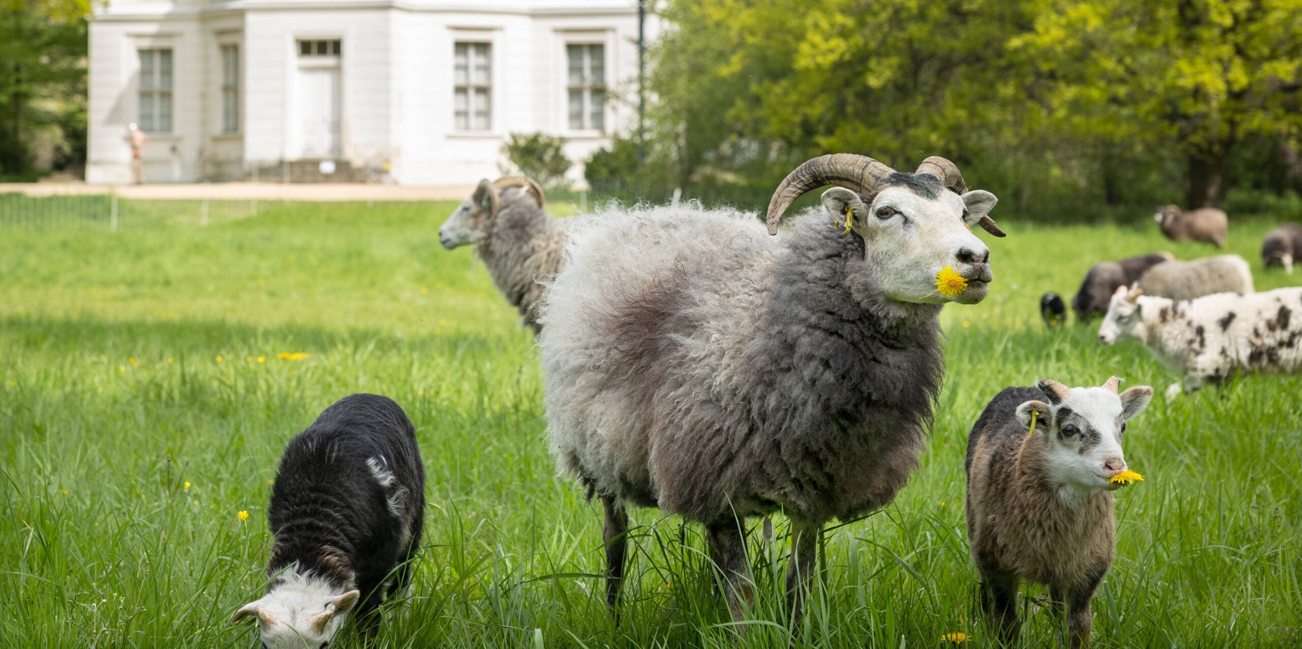 Grüne Oasen: 12 Orte für eine urbane Pause