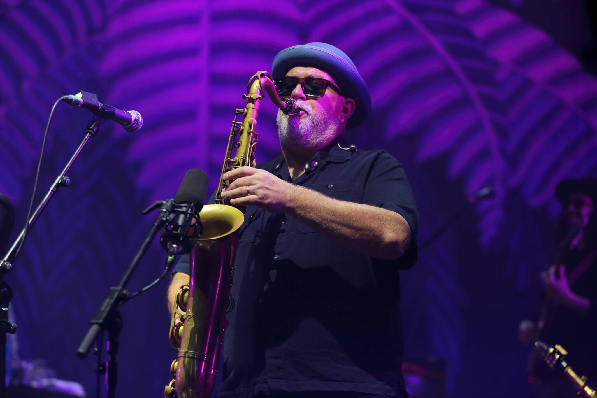 Fat Freddy's Drop: „Unsere Beziehung zu Berlin ist tief“